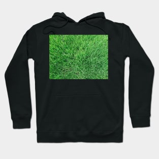 grass lawn Hoodie